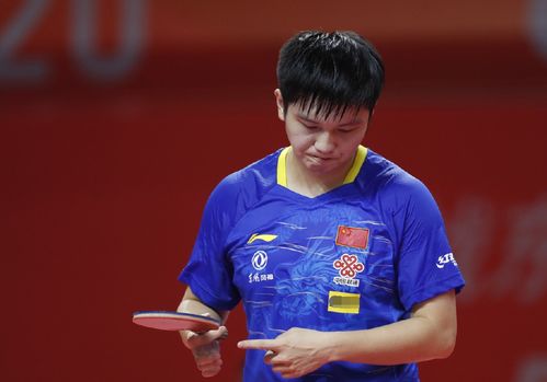 的体育设施 的体育设施